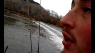 RIVER FISHING NM algodones dam quotcompuertasquot rio grande [upl. by Oynotna801]