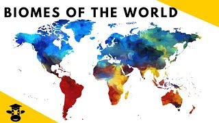 7 Biomes of the World Facts [upl. by Childers]