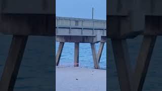 International fishing pier in Deerfield Beach [upl. by Tallia136]