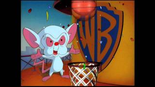 Kids WB Bumbers And IDs part 2 [upl. by Ennayt]