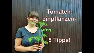 Schnell amp Einfach Tomaten richtig einpflanzen [upl. by Jacquelyn]