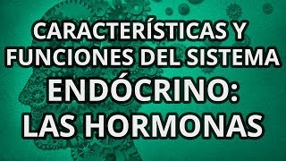 Sistema Endócrino  Principales Características y Funciones  Las hormonas [upl. by Yddor]