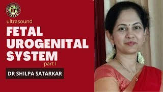 FOETAL UROGENITAL SYSTEM  DR SHILPA SATARKAR  RENAL ANOMALIES  PYELECTASIS  ANTENATAL SCREENING [upl. by Landes]