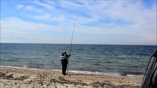 How to make sparus aurata sea fishing ΑΡΜΑΤΩΣΙΑ ΓΙΑ ΤΟ ΨΑΡΕΜΑ ΤΗΣ ΤΣΙΠΟΥΡΑΣ ΙΙΙ [upl. by Alleinnad]