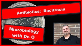 Bacitracin Antibiotic and Neosporin Microbiology [upl. by Einnok]