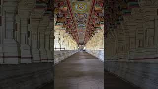 Rameshwaram temple What a piece of art 😍 shorts youtube trendingshorts viral rameshwaram [upl. by Pia1]