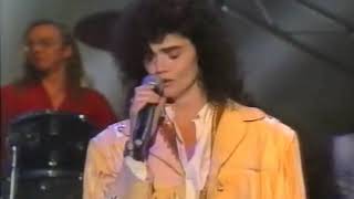 Alannah Myles  Black Velvet  HHIS 13th Oct 1990 [upl. by Alekim531]