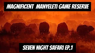 Magnificent Manyeleti Game Reserve  7 Night Safari Ep1 [upl. by Navonoj223]