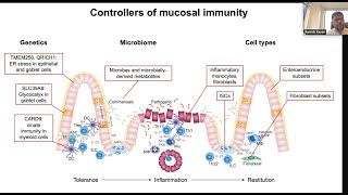 Controllers of mucosal immunity by Dr Ramnik Xavier [upl. by Gnurt]