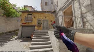 CS2 Bowie knife doppler phase 1 [upl. by Aslehc466]