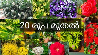 20 മുതൽ 50 രൂപ വരെ മാത്രംstock clearanceoffer sale [upl. by Milburn135]