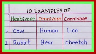 Examples of Herbivores Omnivores Carnivores  5  10 Examples of Herbivores Omnivores Carnivores [upl. by Aropizt]