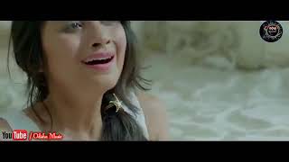 Kemiti Bhulibi Se Abhula Dina Hrudaya Hina Female Official Video Song Amrita Nayak [upl. by Aralomo846]