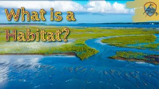 What Is A Habitat  Educational Videos for Kids [upl. by Heyward]