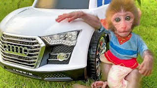 Baby Monkey Bon Bon Drives a New Car With Cute Puppy in The Garden  BonBon Monkey [upl. by Naujled]