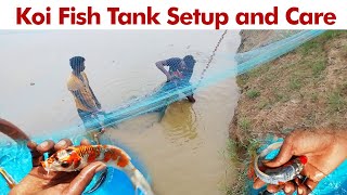 Koi Fish Tank setup and Care Tamil [upl. by Euphemiah703]