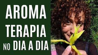 6 Óleos Essenciais que podem MUDAR SUA VIDA  Aromaterapia no Cotidiano  Karina Viega [upl. by Eppillihp]