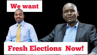 Chamisa want Fresh Elections now in Zimbabwe Dubeko Sibanda [upl. by Hanikahs]