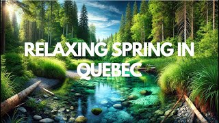 Quebec Spring Serenity [upl. by Kaczer349]