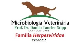 Micro Vet 20161 Aula 12  Família Herpesviridae [upl. by Ztnahc]