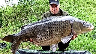 Carpfishing sul lago di Varese [upl. by Deeyn]