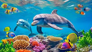 NEW 11HRS Stunning 4K Underwater Wonders  Relaxing Music  Coral Reefs Fishamp Colorful Sea Life [upl. by Boru224]