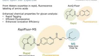 Routine Tools for Mapping Your Glycan Profile [upl. by Hoj112]