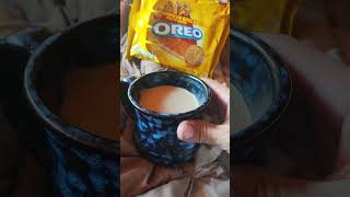 Pumpkin Spice Cookies and Coffee Oreo sweet morningcoffee fans fyp moutainlife [upl. by Anol]