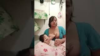 vlog menyusui bayi mungil [upl. by Maxine366]