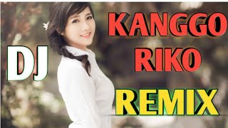 DJ KANGGO RIKO REMIX  BANYUWANGINAN SLOW BASS [upl. by Tomaso923]