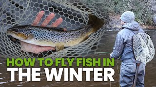 How To Fly Fish In The Winter Everything You Need To Know [upl. by Sitnik]