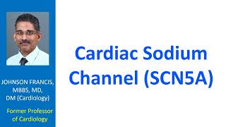 Cardiac Sodium Channel SCN5A [upl. by Akemhs]