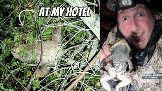 Explore our hotel for Frogs Sloths and more  Field Herping Panama [upl. by Vanthe]