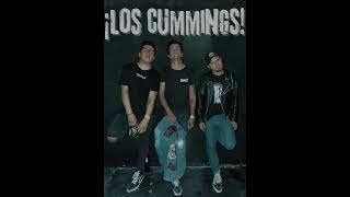 Los Cummings  Sassafras Roots Cover Green Day [upl. by Lisha]