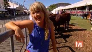 Sydney Royal Cattle Show [upl. by Philbrook]