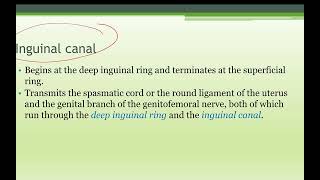 Anatomy Inguinal Region [upl. by Gilbye]