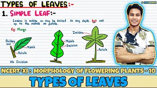 Morphology of Flowering Plants Lec 10 Types of Leaves Class 11 NEET Neetology [upl. by Angell]