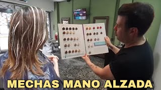 Mechas MANO ALZADA técnica y fórmulas de TINTE [upl. by Ydualc804]