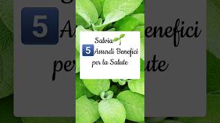 ‼️SALVIA🌱 PROPRIETÀ e CONTROINDICAZIONI short [upl. by Eob]