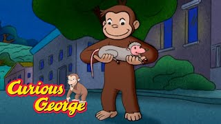 Curious George 🐵🐰EASTER Special Compilation🐰🐵Kids Cartoon 🐵Kids Movies 🐵Videos for Kids [upl. by Trojan]