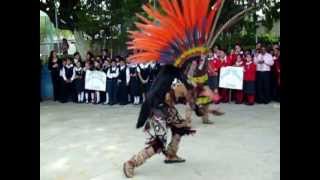 danza al Dios Tláloc [upl. by Ferdinande]