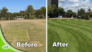 Fixing An Ugly Zoysia Lawn [upl. by Ott]