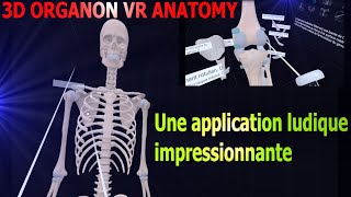 Anatomie du corps humain en réalité virtuelle  3D Organon Anatomy [upl. by Gnoz733]