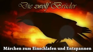 KHM 009  Der zwölf Brüder Hörbuch deutsch Märchen der Brüder Grimm [upl. by Gannie]