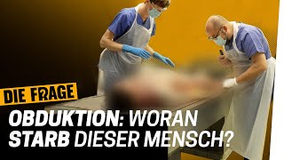 Rechtsmedizin Die Suche nach der Wahrheit  Was passiert nach dem Tod mit uns 3 [upl. by Schilit]