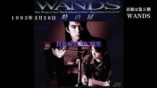 【1990年代】時の扉  WANDS 歌詞付きcover曲 [upl. by Conard]