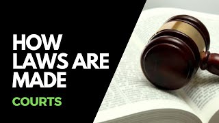 How laws are made  Courts [upl. by Mehs]