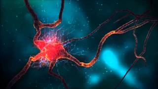 Weight Loss Binaural Beats Brainwave Entrainment [upl. by Amarillis]