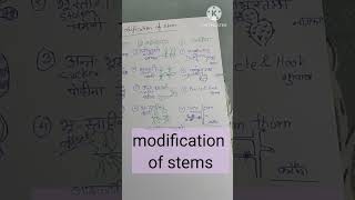 modification of roots and stems quick recap 11th education ncert [upl. by Faubert]