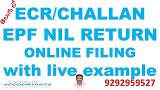 epf ecr challan nil returns filing [upl. by Zosema963]